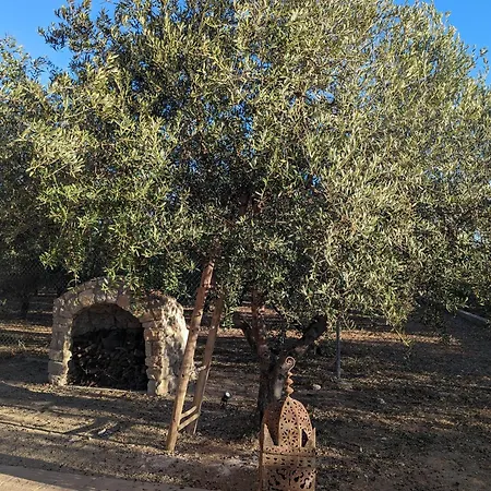 Casa Hostalets - Renovated Casa In The Middle Of The Olive Trees Near The Villa *